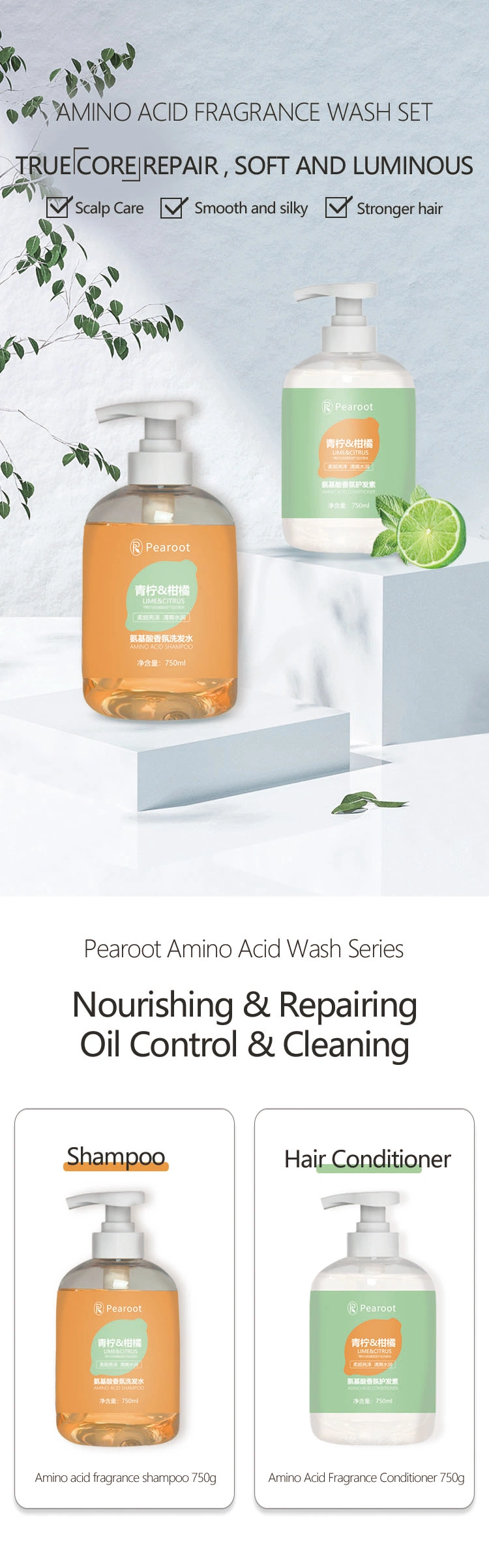 Gentle Cleansing Dry Amino Acid Fragrance Shampoo