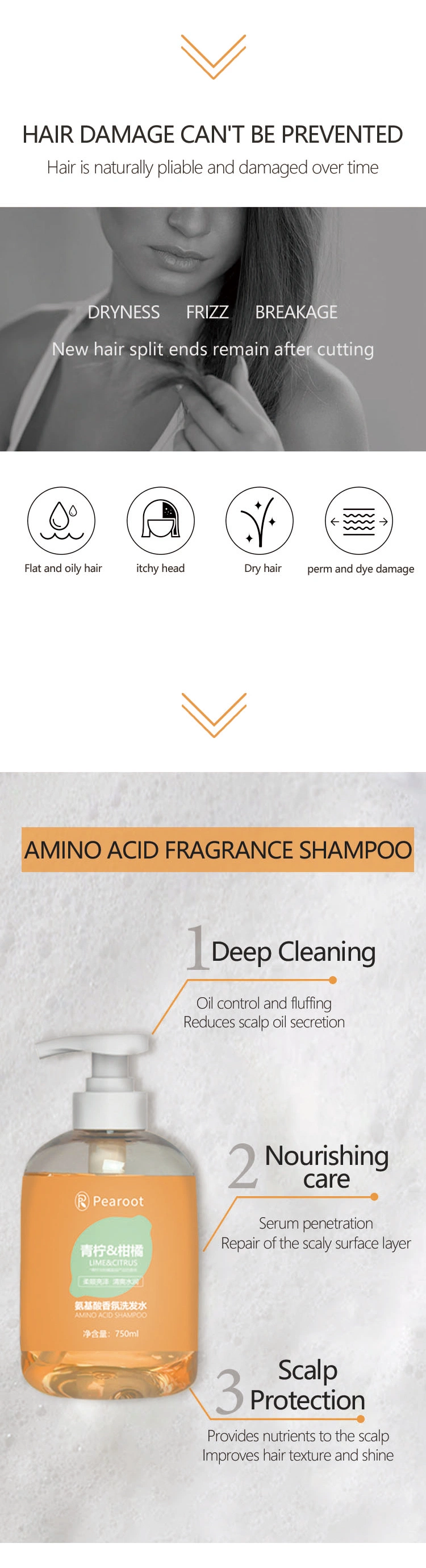 Gentle Cleansing Dry Amino Acid Fragrance Shampoo